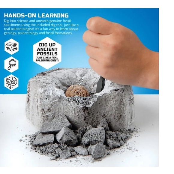 NIB Discovery Fossil Excavation Kit-Perfect for Summer Activities - Picture 4 of 5